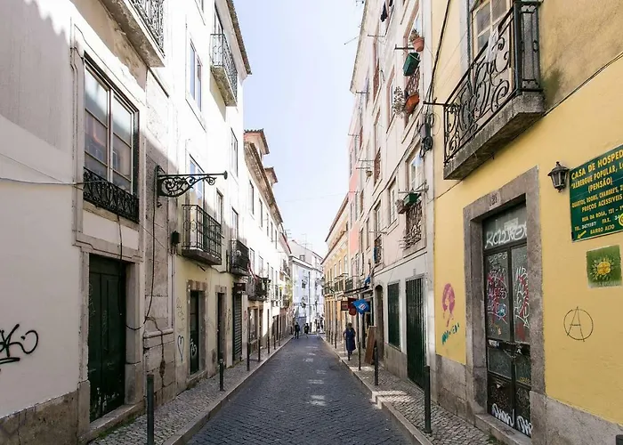 The Rose Of Bairro Alto
